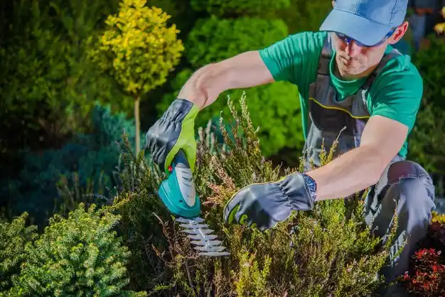 landscaping services Detroit